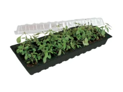 Minigro med 30 krukker