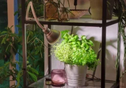 Plantelampe Flexia