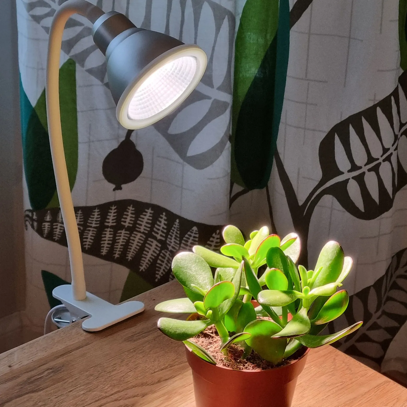 Plantelampe Flexia