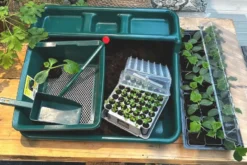 Planting