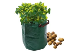 Potetbag