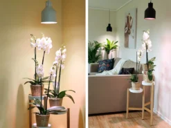 Vekstarmatur til LED-lampe