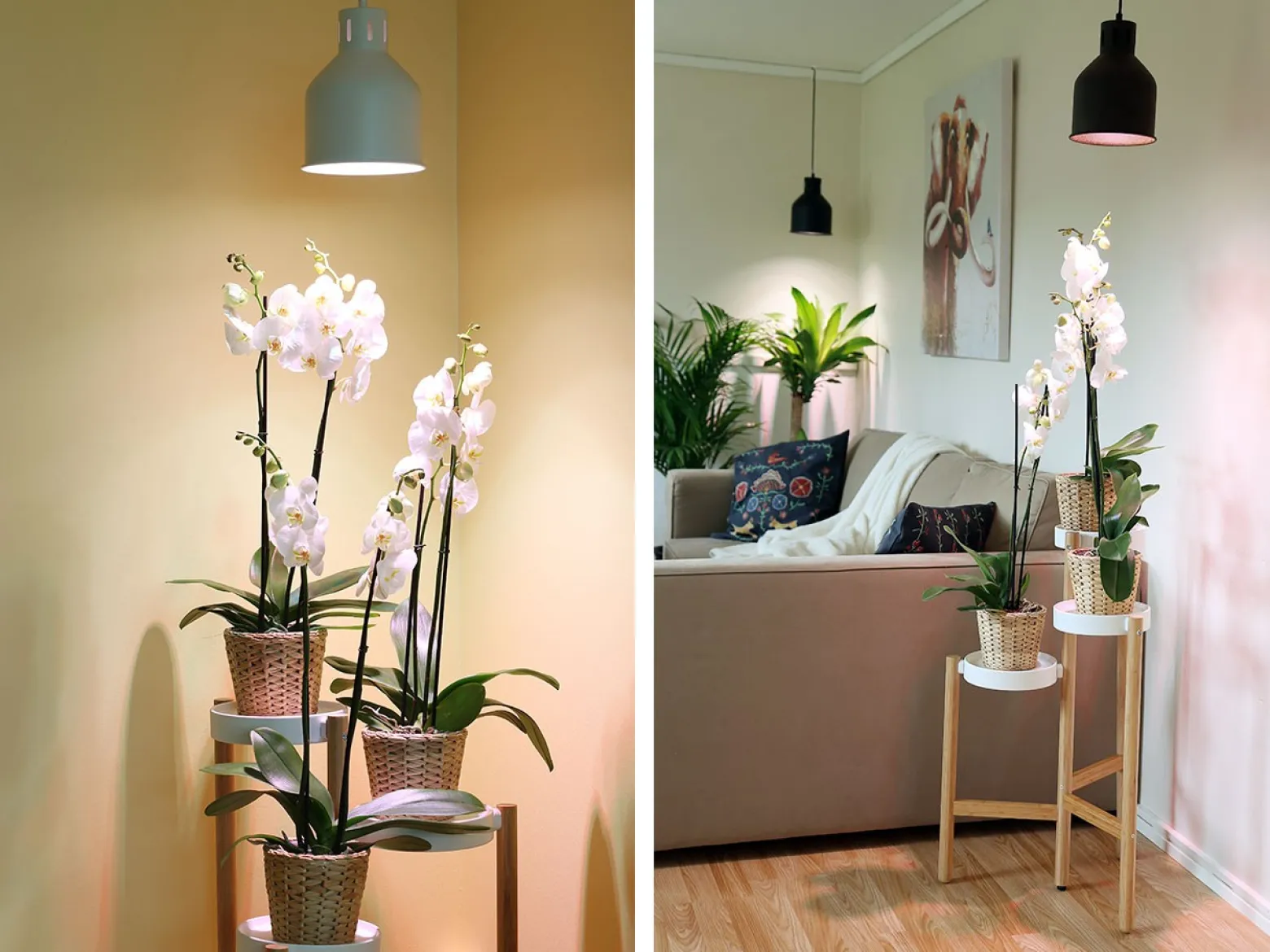 Vekstarmatur til LED-lampe